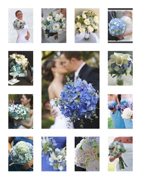 Some of the most common blue flowers include hydrangea delphinium hybrid 